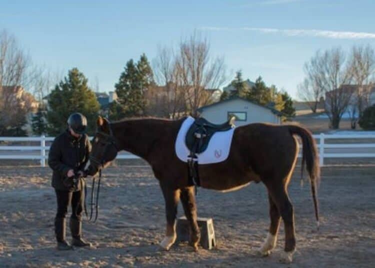 Making time for your horses