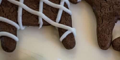 Homemade chocolate sugar cookies