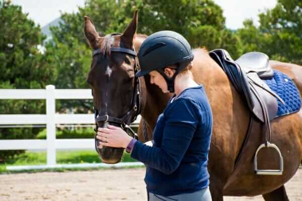 5 ways to bond with your horse