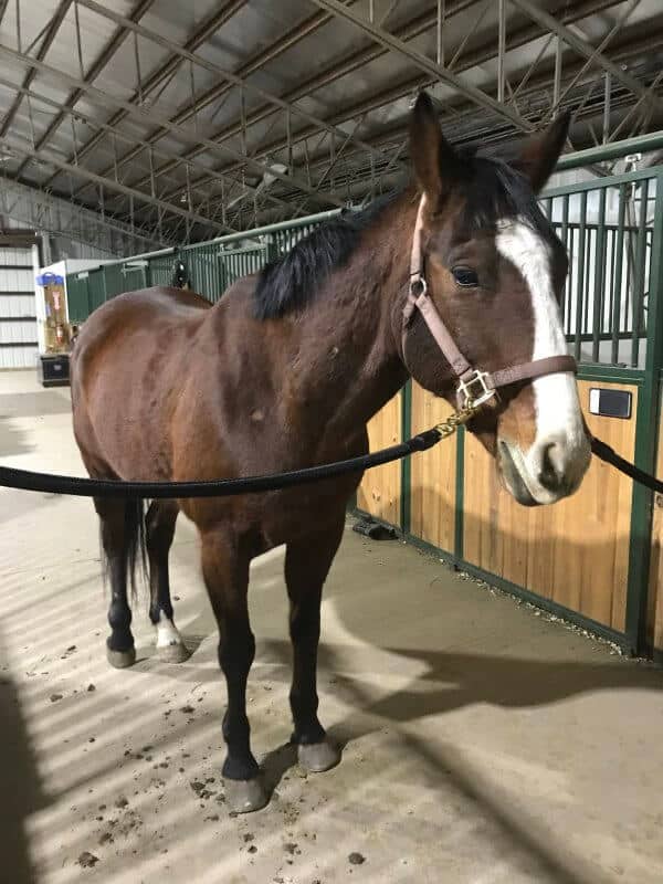 having a springtime riding plan
