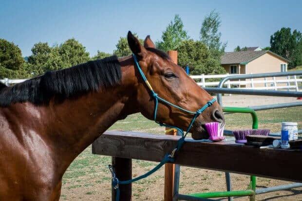 springtime riding plan
