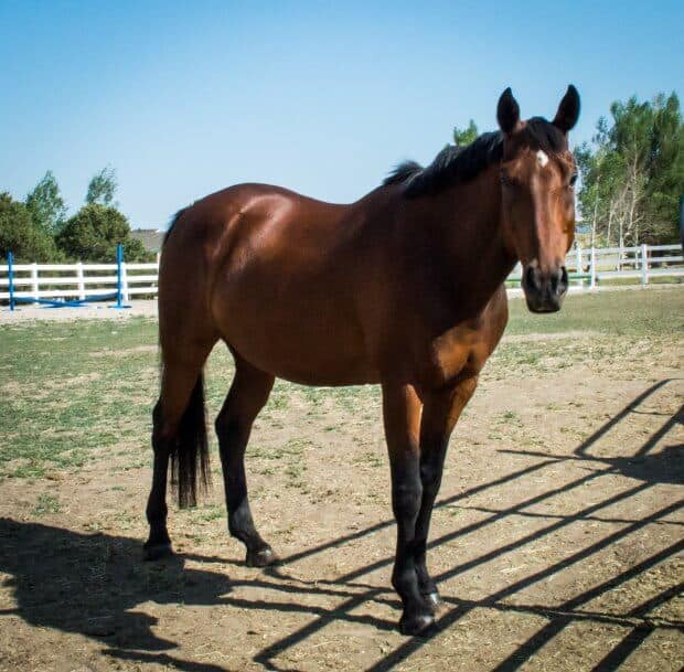 springtime riding plan