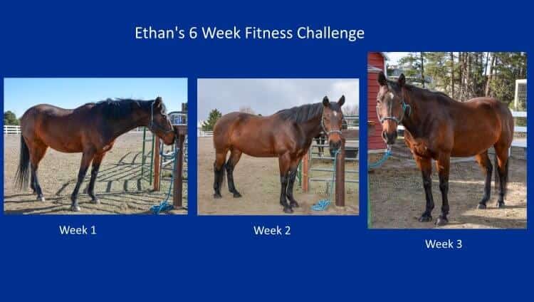 Springtime Riding Plan – Week 3 – Almost Riding Time