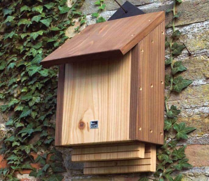keeping the flies away