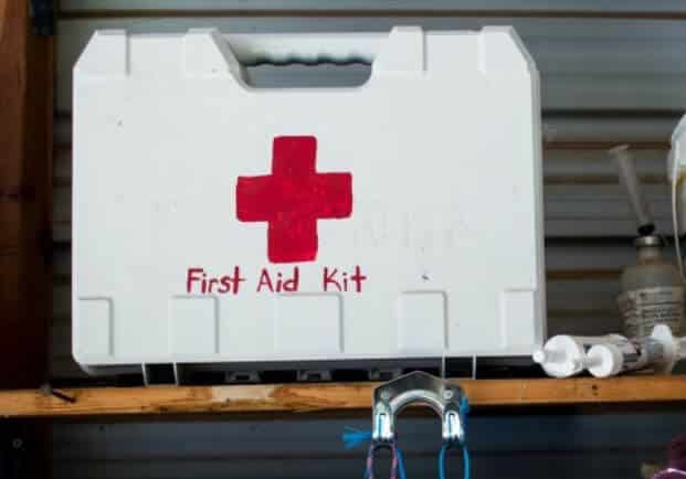 what you need for your first horse