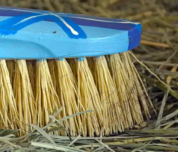 Horse Brushes Explained