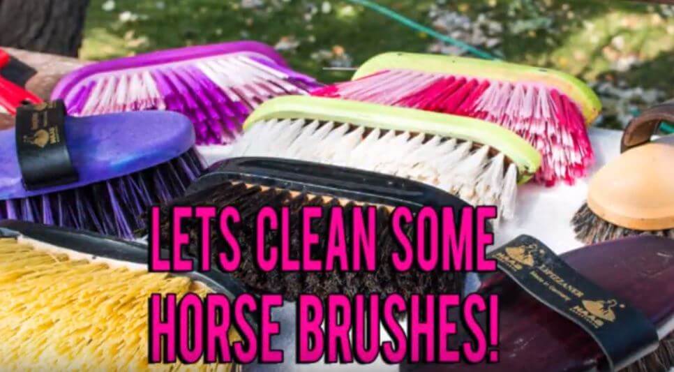 Horse Brushes Explained