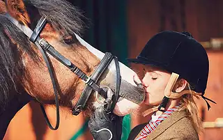 horse tack