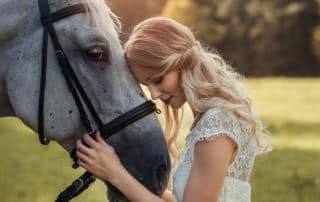 older horse