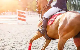 how to fall off a horse safely