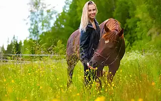 when to sell your horse