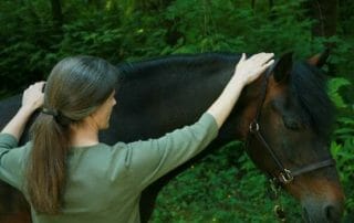 help scared horses