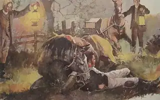 classic horse books