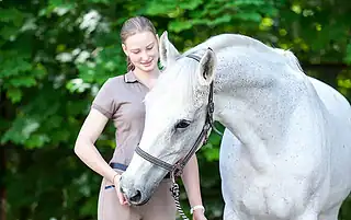 what does a horse trainer do
