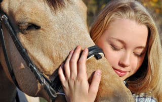 Most Popular Horse Breeds