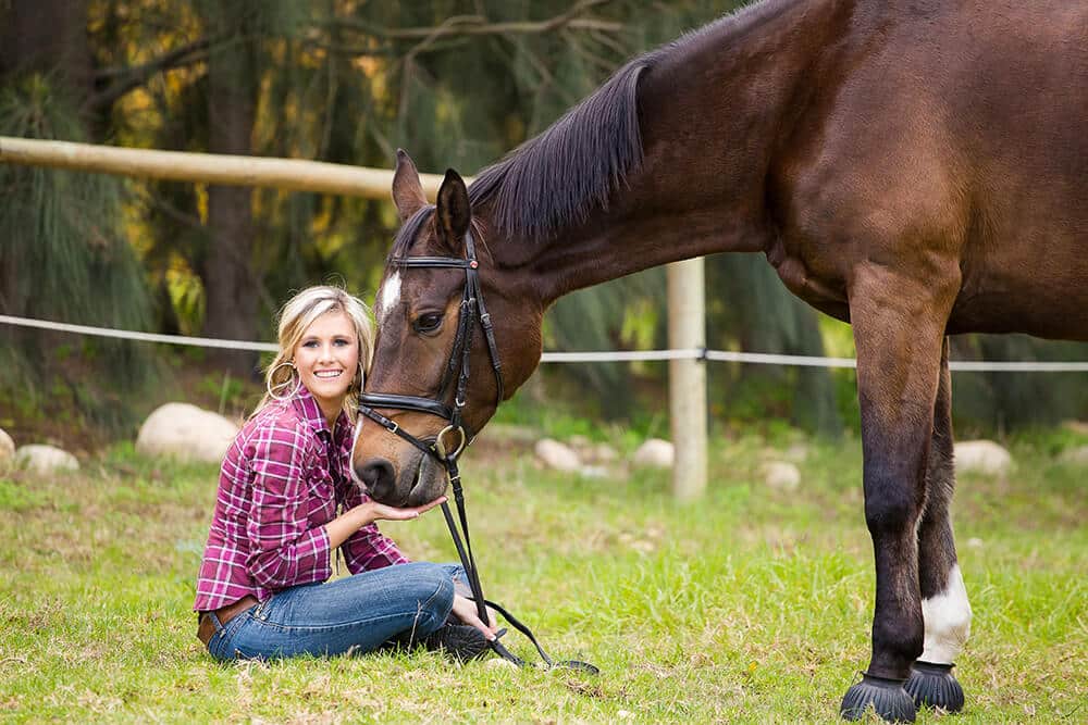 Horse Feelings