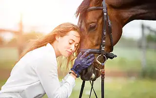 cleaning horse tack