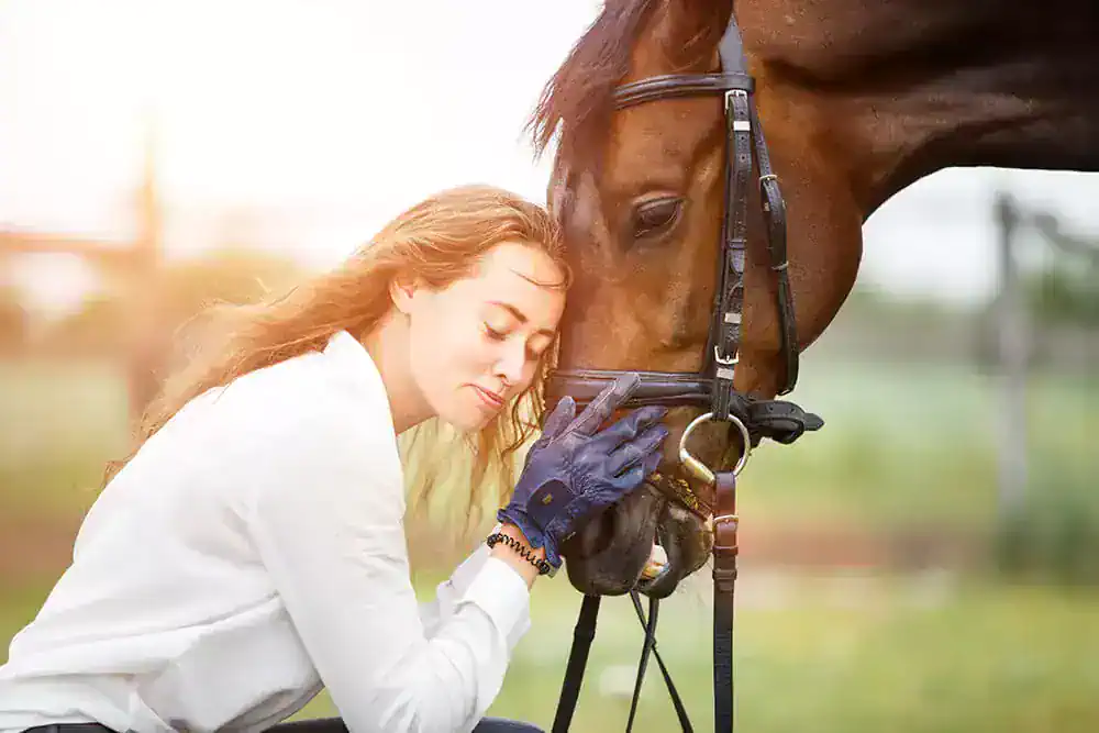 cleaning horse tack