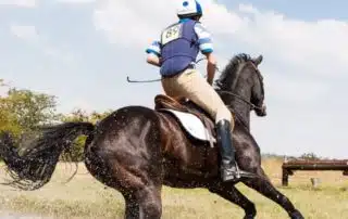 how to determine if your horse is lame