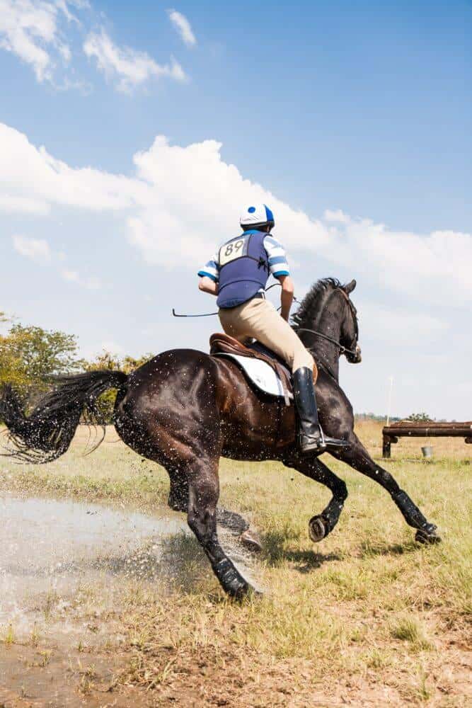 how to determine if your horse is lame