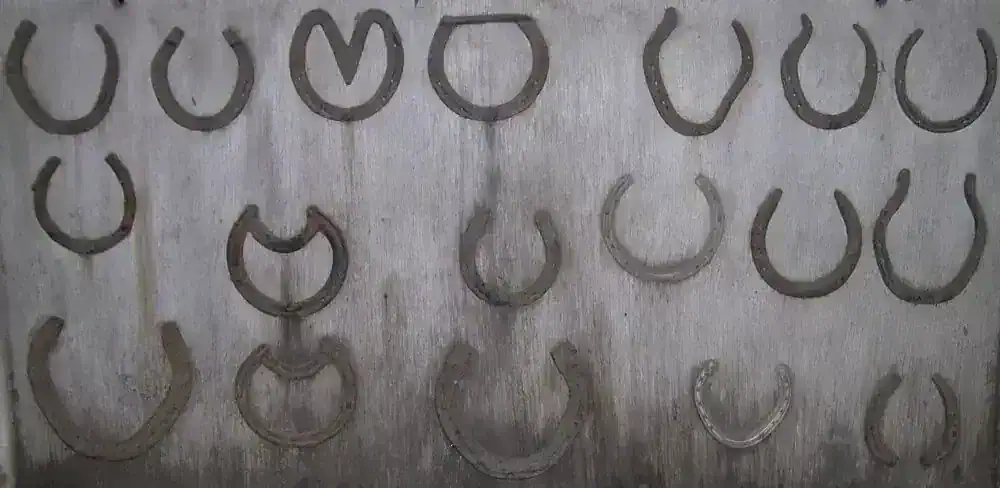 Are horse shoes needed?