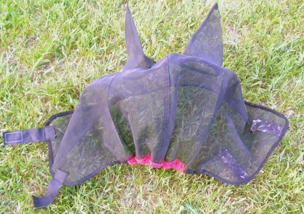 fly mask for horses