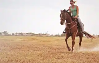 Why we ride horses even though it's dangerous