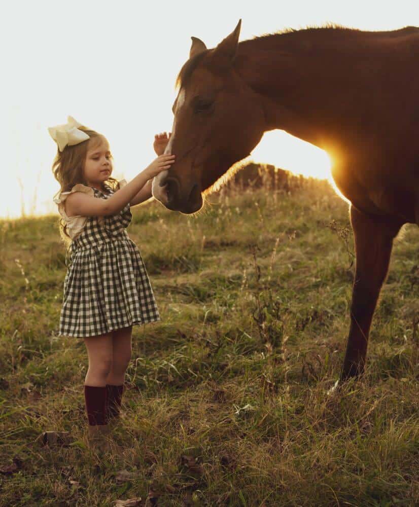 horses help people with asperger syndrome
