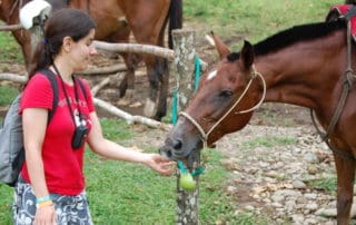 feeding treats to your horse