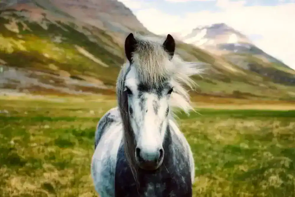 A beautiful portrait of a horse representing how smart horses can be. 