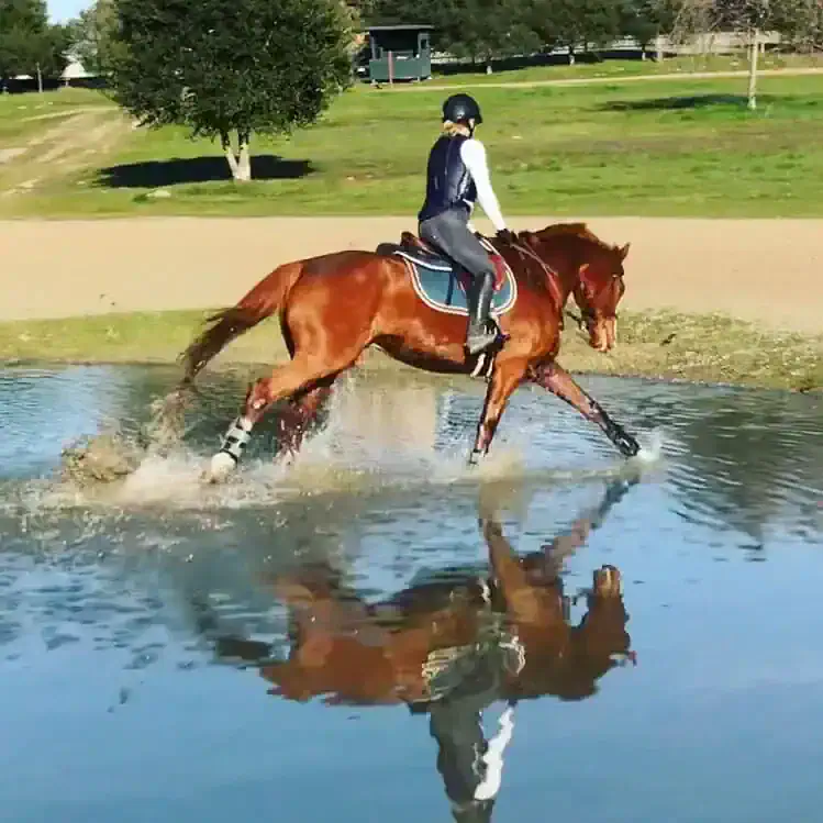 Cross Country Riding Course 5 Cool Ways to Bond with Your Horse in Hot Weather