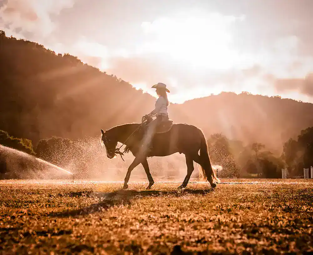 horseback riding lessons
