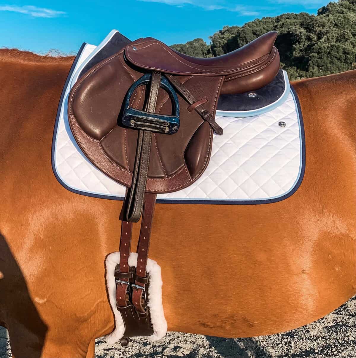 How to fit a saddle on a horse