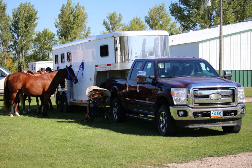 Horses tied to a trailer.