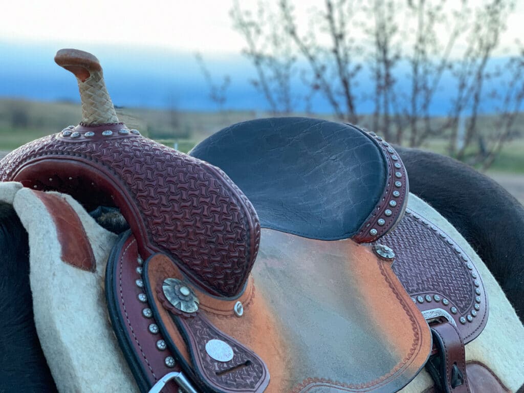 You need at least 2-3" of saddle pad surrounding your saddle on all sides!