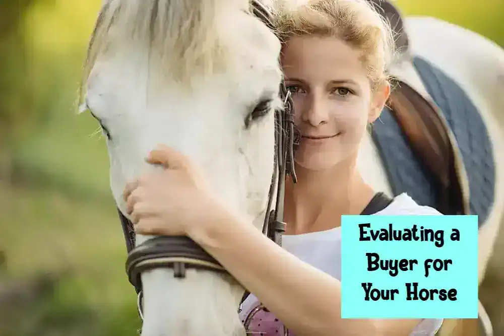 Evaluating a Buyer for Your Horse