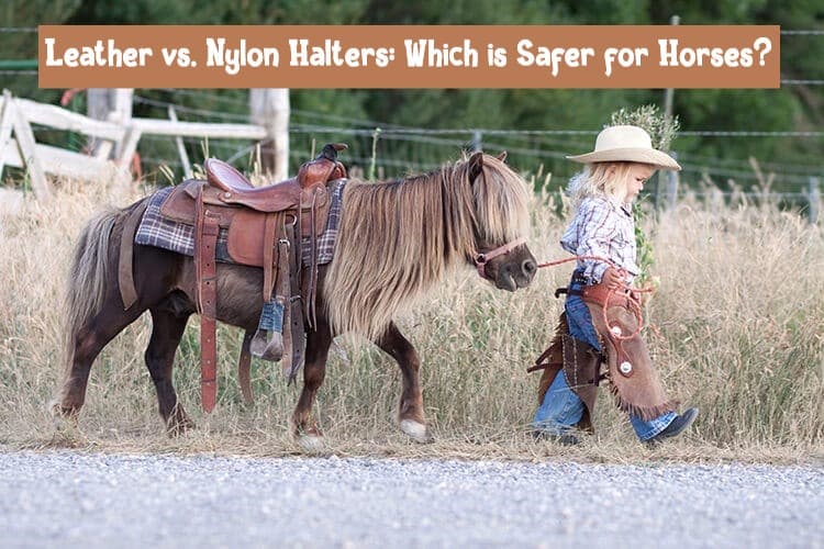 Leather vs. Nylon Halters: Which is Safer for Horses?