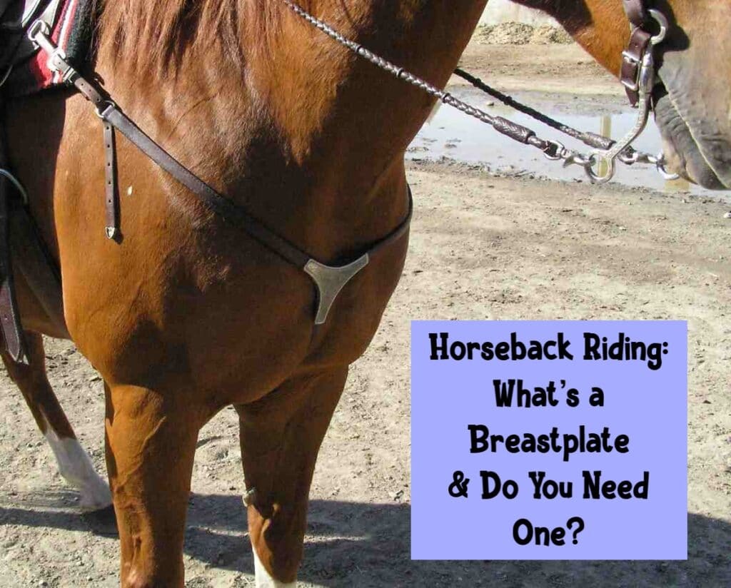Horseback Riding: What’s a Breastplate & Do You Need One?