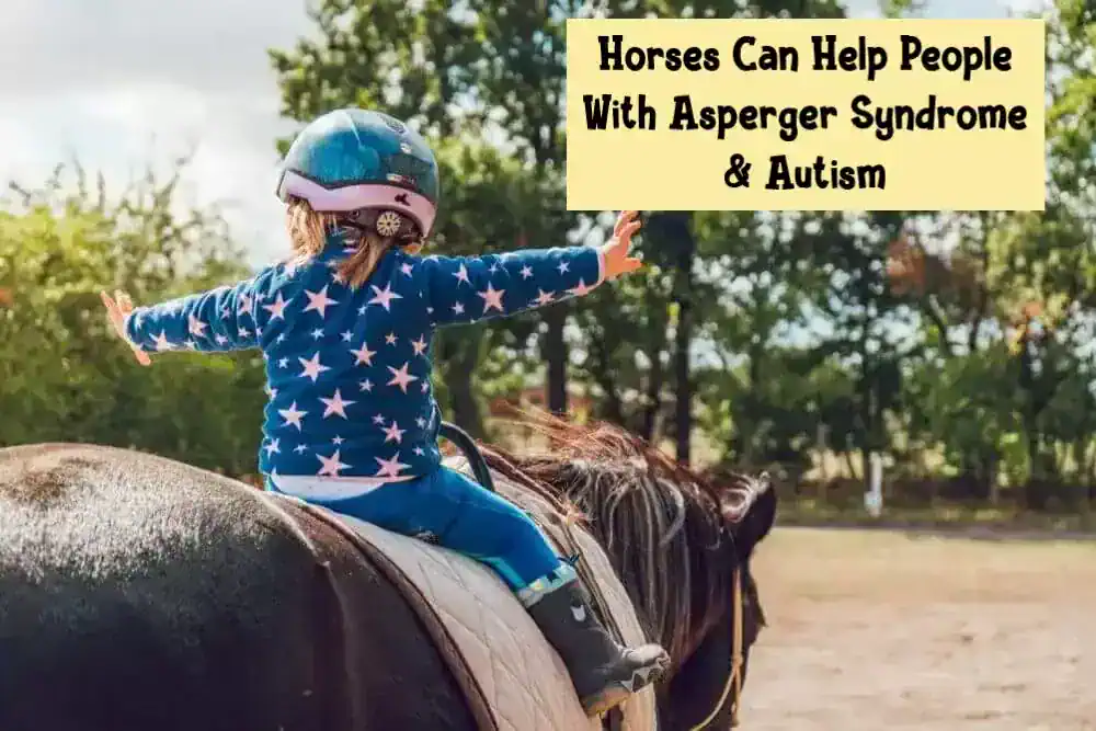 Horses Can Help People With Asperger Syndrome & Autism