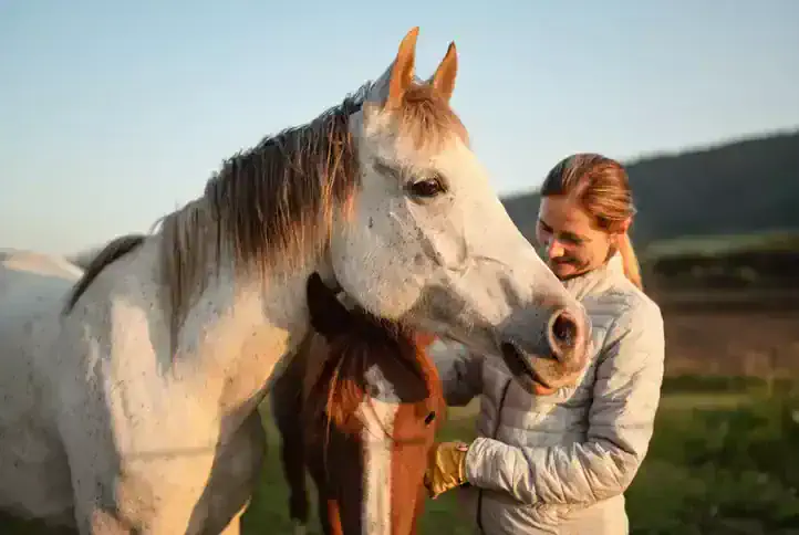 Tips For Getting Your Horse To Come When Called
