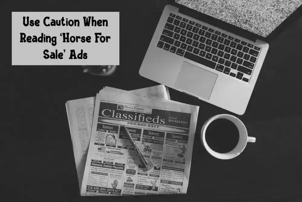 Use Caution When Reading ‘Horse For Sale’ Ads