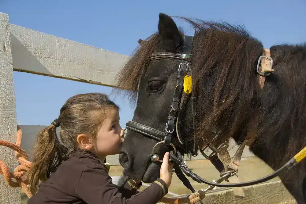 Horse gifts for kids