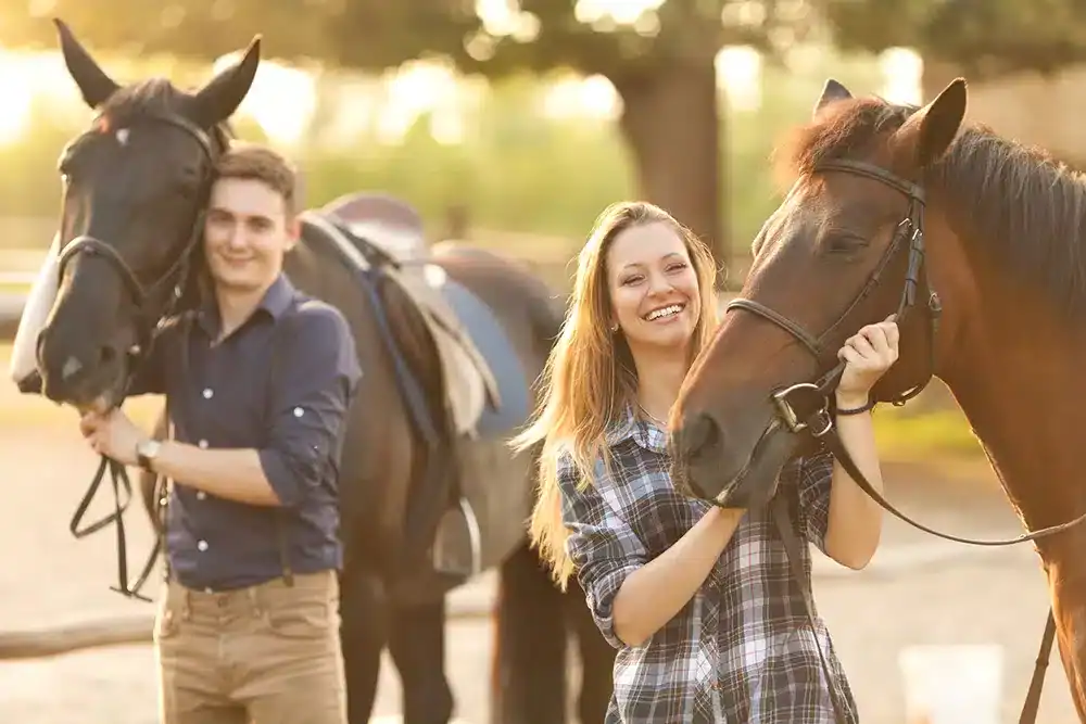 Gifts for horse owners