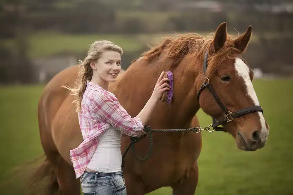 Personalized horse gifts