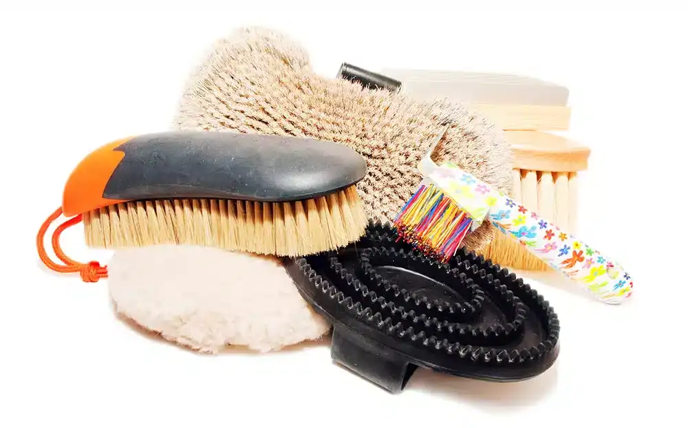 Horse grooming tack