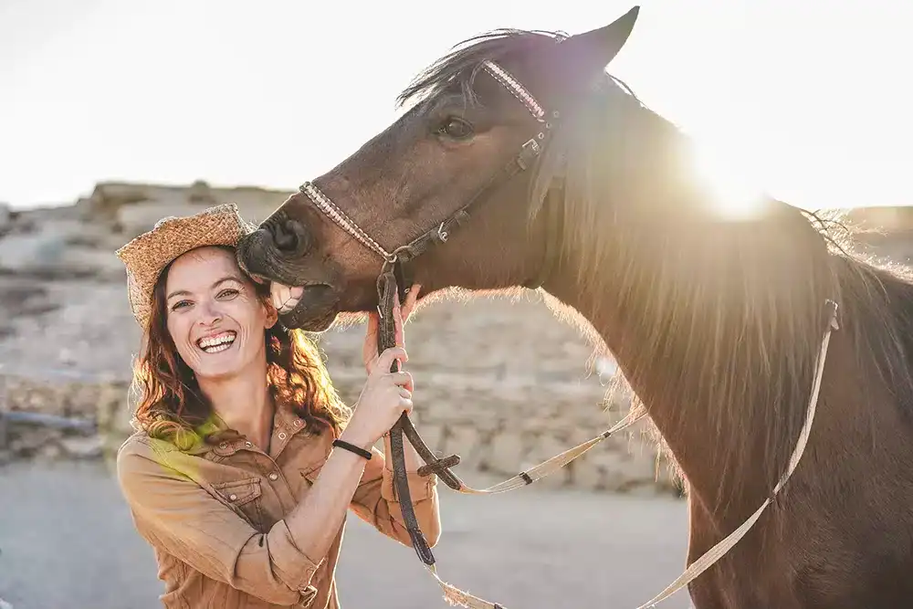 Funny gifts for horse owners