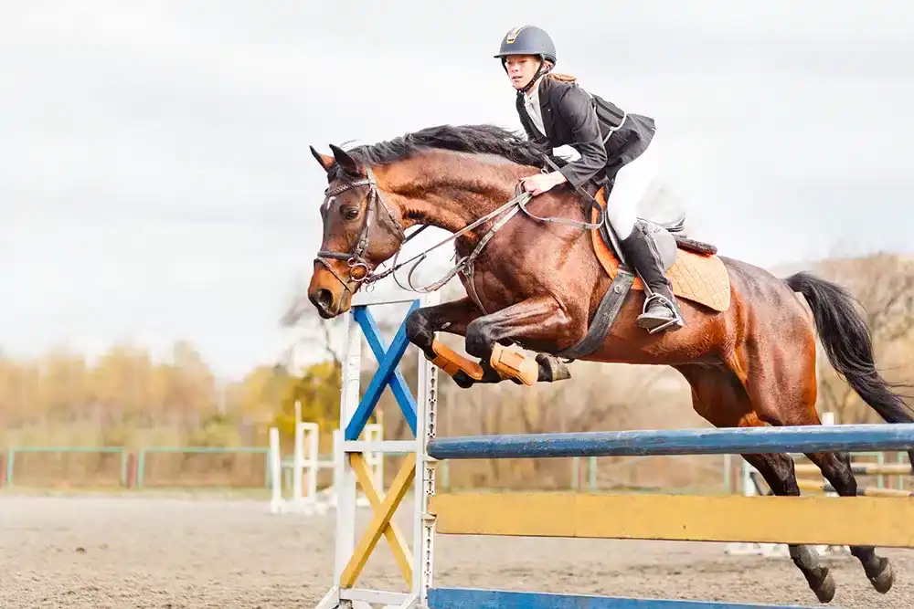 Horse Show Gifts