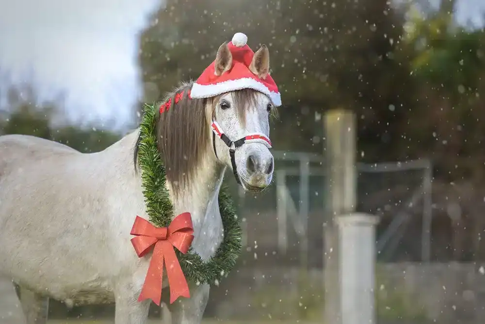 Secret Santa Horse Gifts