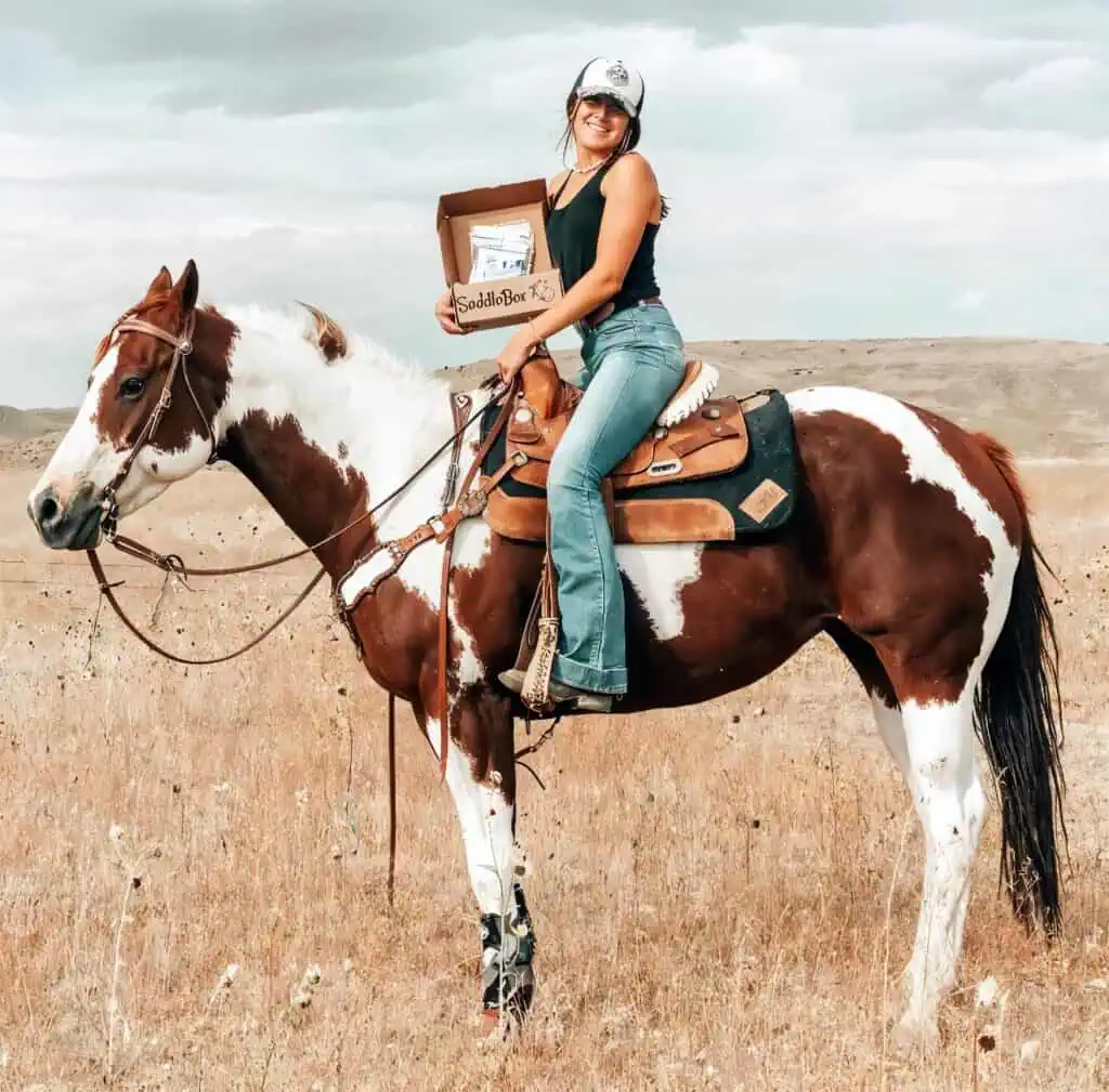 horse gift ideas
