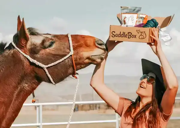 Saddlebox